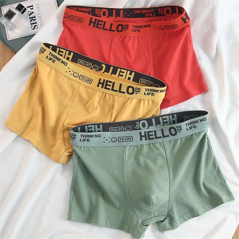10Pieces/ Men's Underwear Men  - Boxer Shorts Modal ulasan dan harga