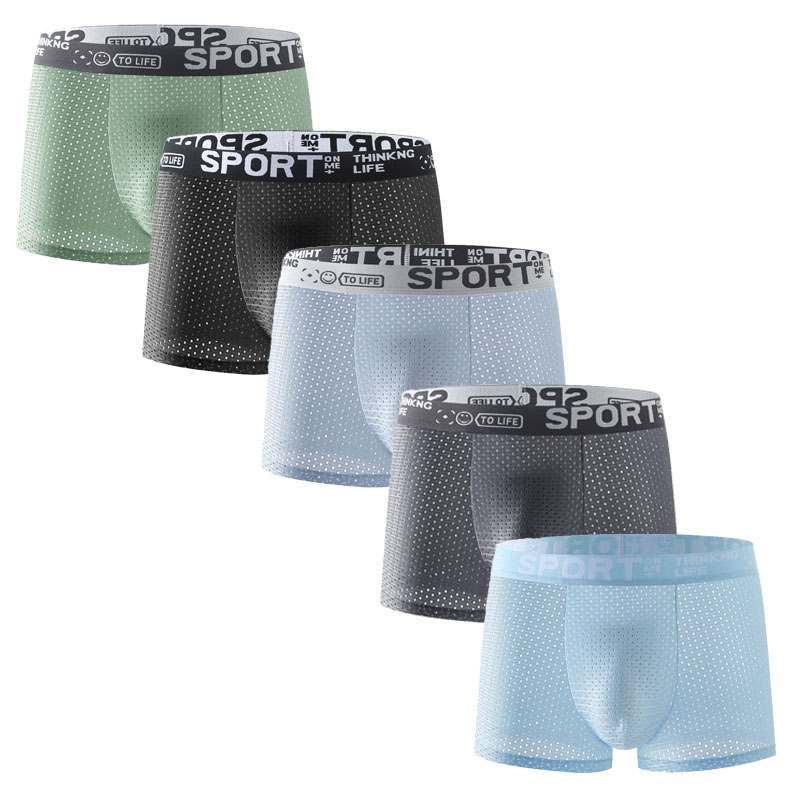 5PCS Men's Ice Silk Mesh Boxer - Mesh Sport Boxer ulasan dan harga
