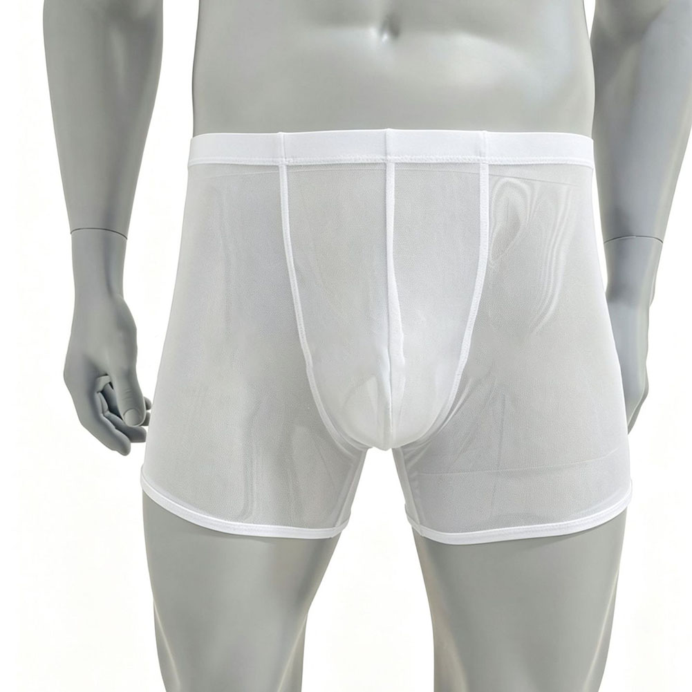 Men Mesh See-through Ultra-thi - Long Leg Trunk Men ulasan dan harga