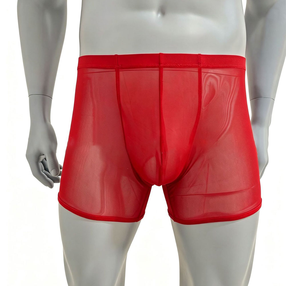 Men Mesh See-through Ultra-thi - Long Leg Trunk Men ulasan dan harga