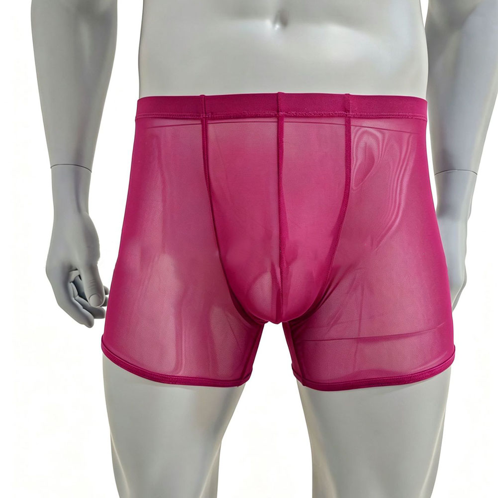 Men Mesh See-through Ultra-thi - Long Leg Trunk Men ulasan dan harga