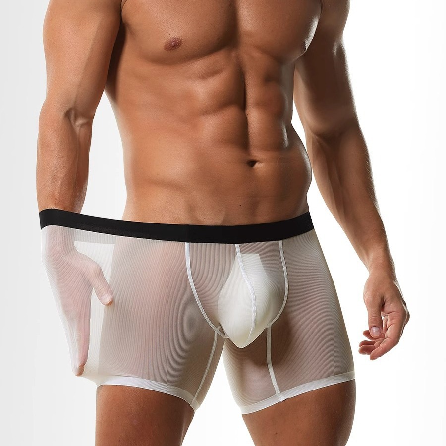 Ice Silk Sheer Mesh Long Leg B - Long Leg Trunk Men ulasan dan harga