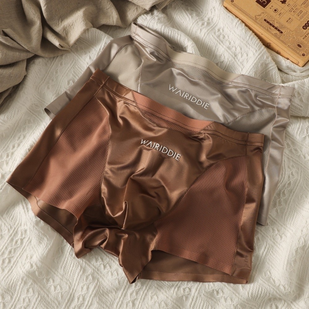 Simple Mesh Ice Silk Underwear - Mesh Sport Boxer ulasan dan harga
